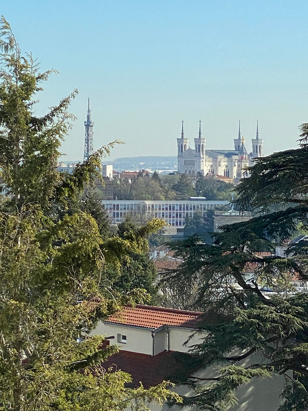 Lyon V - Vue 3