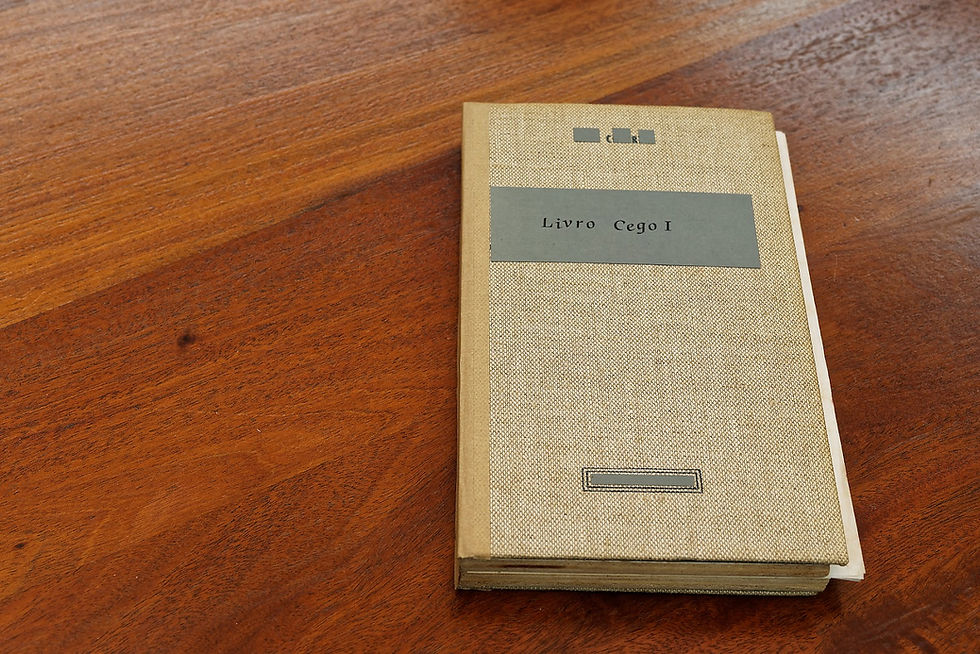 Livro cego I, 2017
