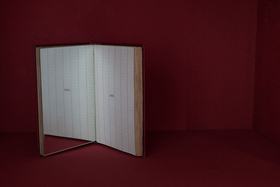 Livro - espelho, 2010