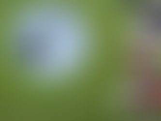 Lady Jane's and Wicked Awesome Wishes Donates Free Haircuts to Loyal Customer for Late Father