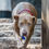 Thumbnail: Reese