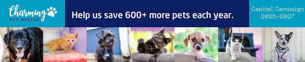 Tour our rescue property in pictures! (980 x 200 px).png