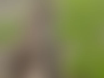 畑の前の畑！着々と進行中!(^^)!