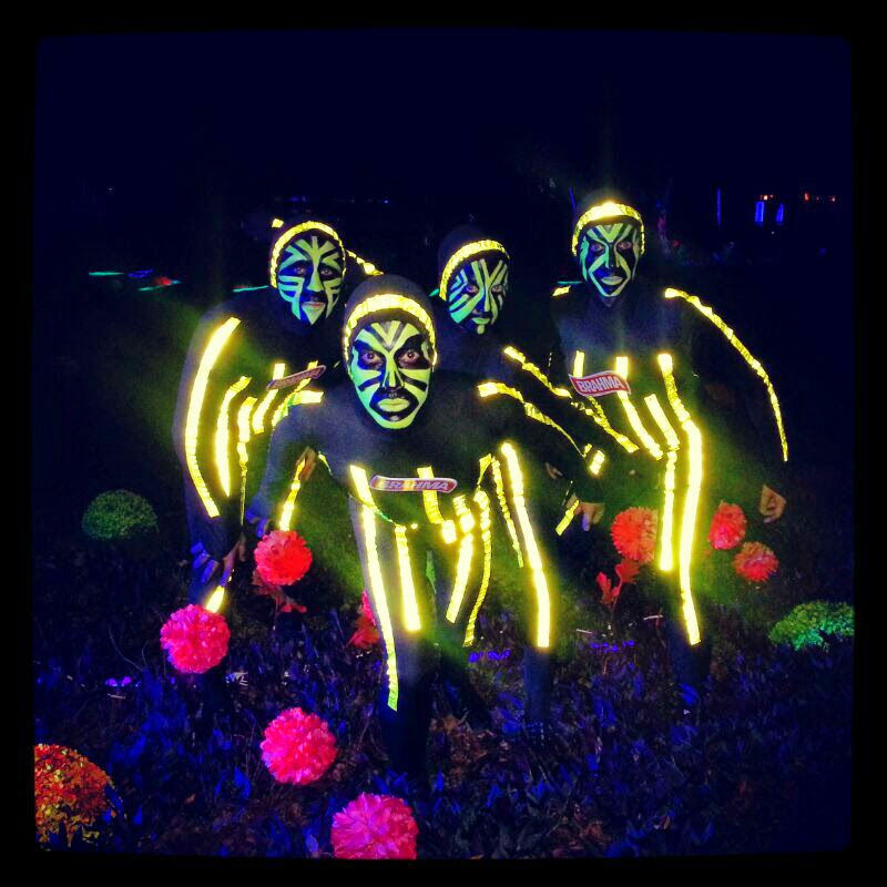 Reflectivo y Fluo