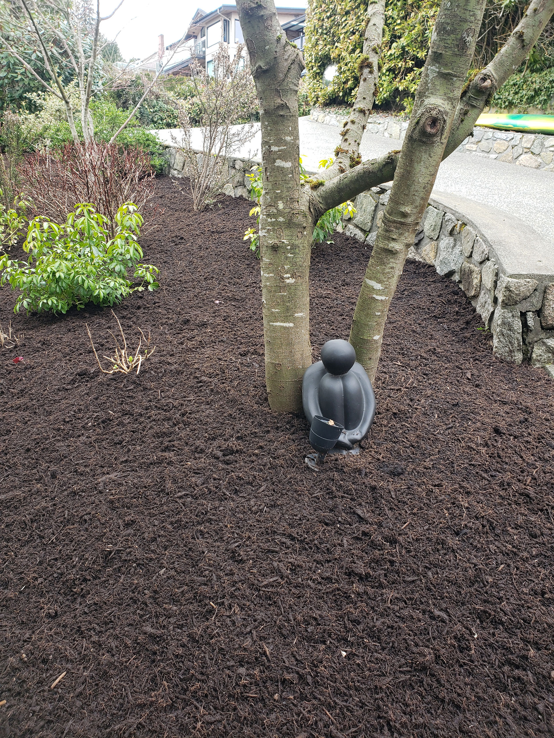 Composted bark mulch