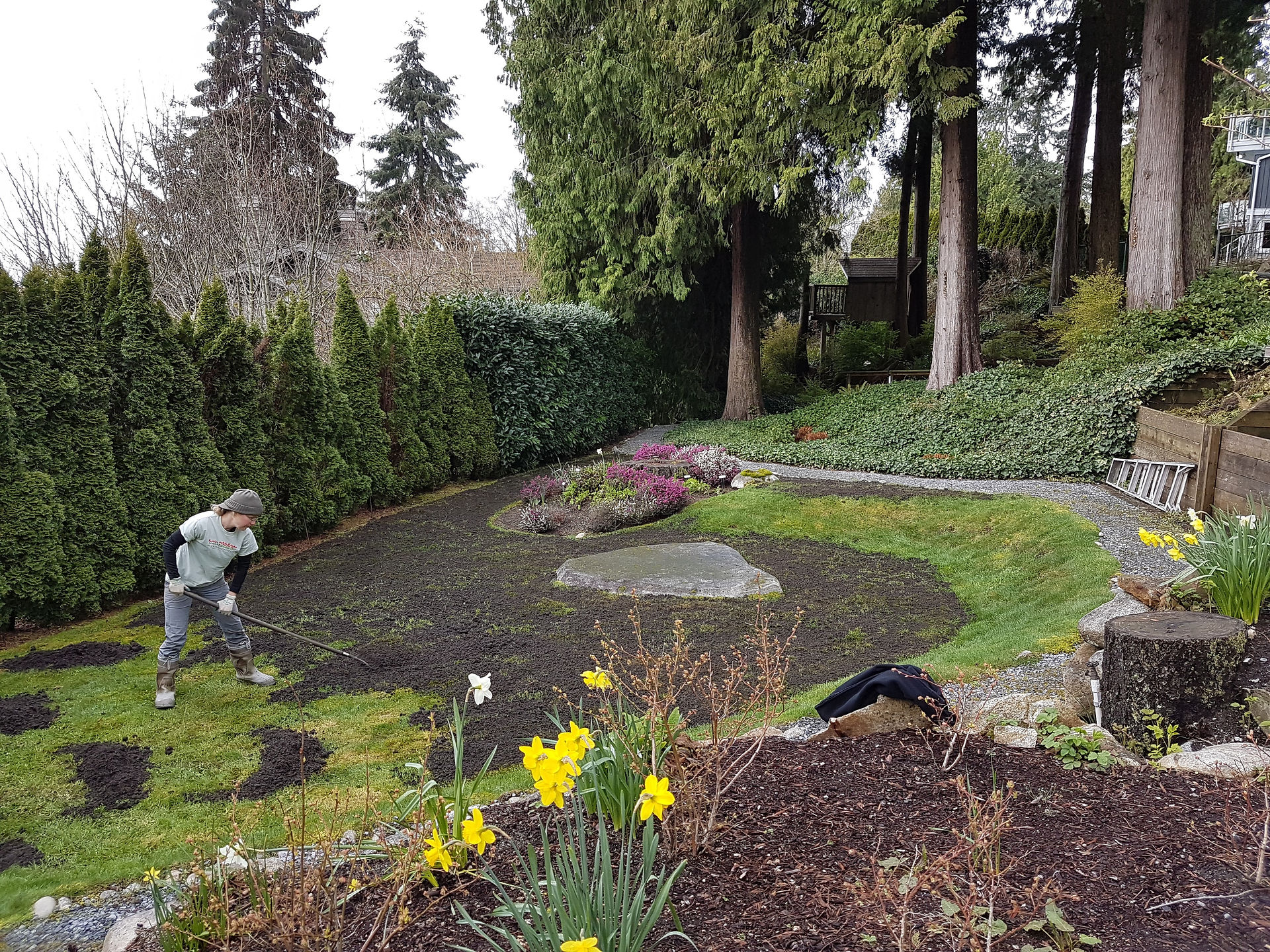 Topdressing lawn