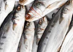 ОБОРОТ РЫБХОЗА В СЕНТЯБРЕ 2022Г