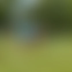 Drösings Faustballer erreichen beim NÖ Cup den vierten Platz!