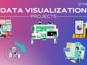 Data Visualization Projects