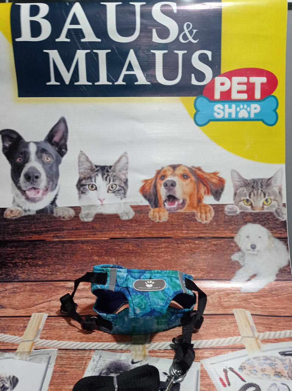 Miniatura: PECHERA MAS TRAILLA