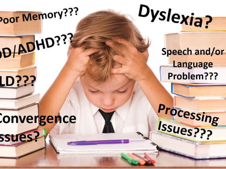 Learning Disabilities & Differences: What Parents Need To Know