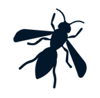 Wasp