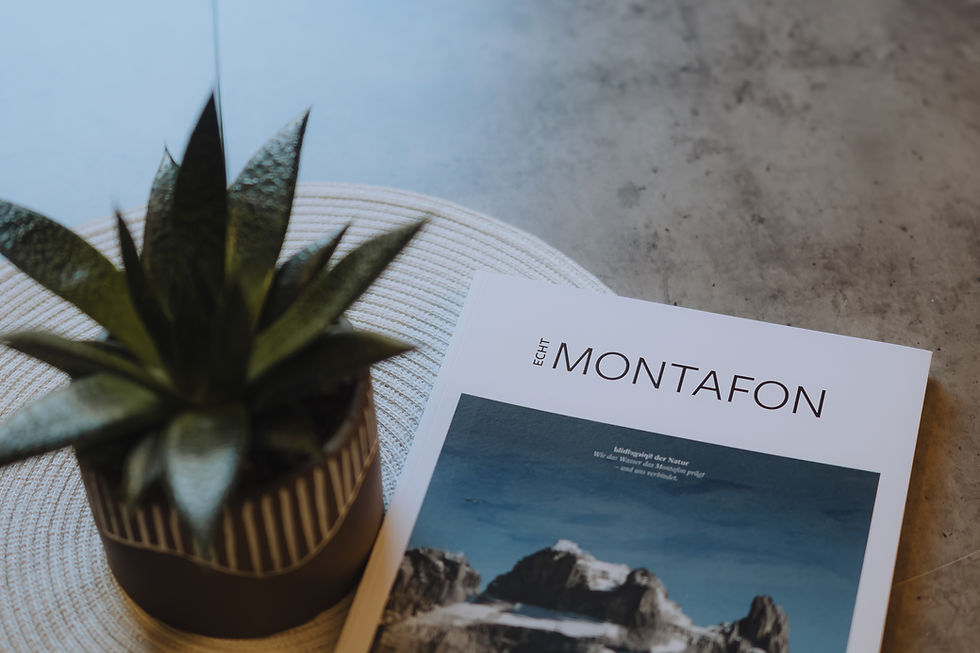 Montafon Berge Österreich Vorarlberg