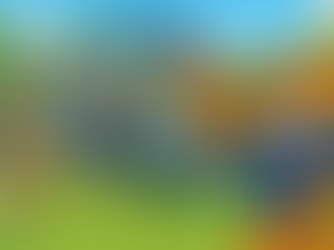 Tyler cheering while kids and adults race through an inflatable obstacle course