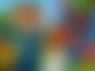 Bounce House Rentals Boca Raton: Safety Tips Every Parent Should Know