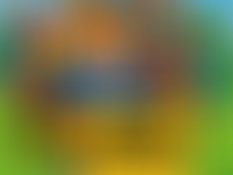 bounce house rentals Jupiter FL