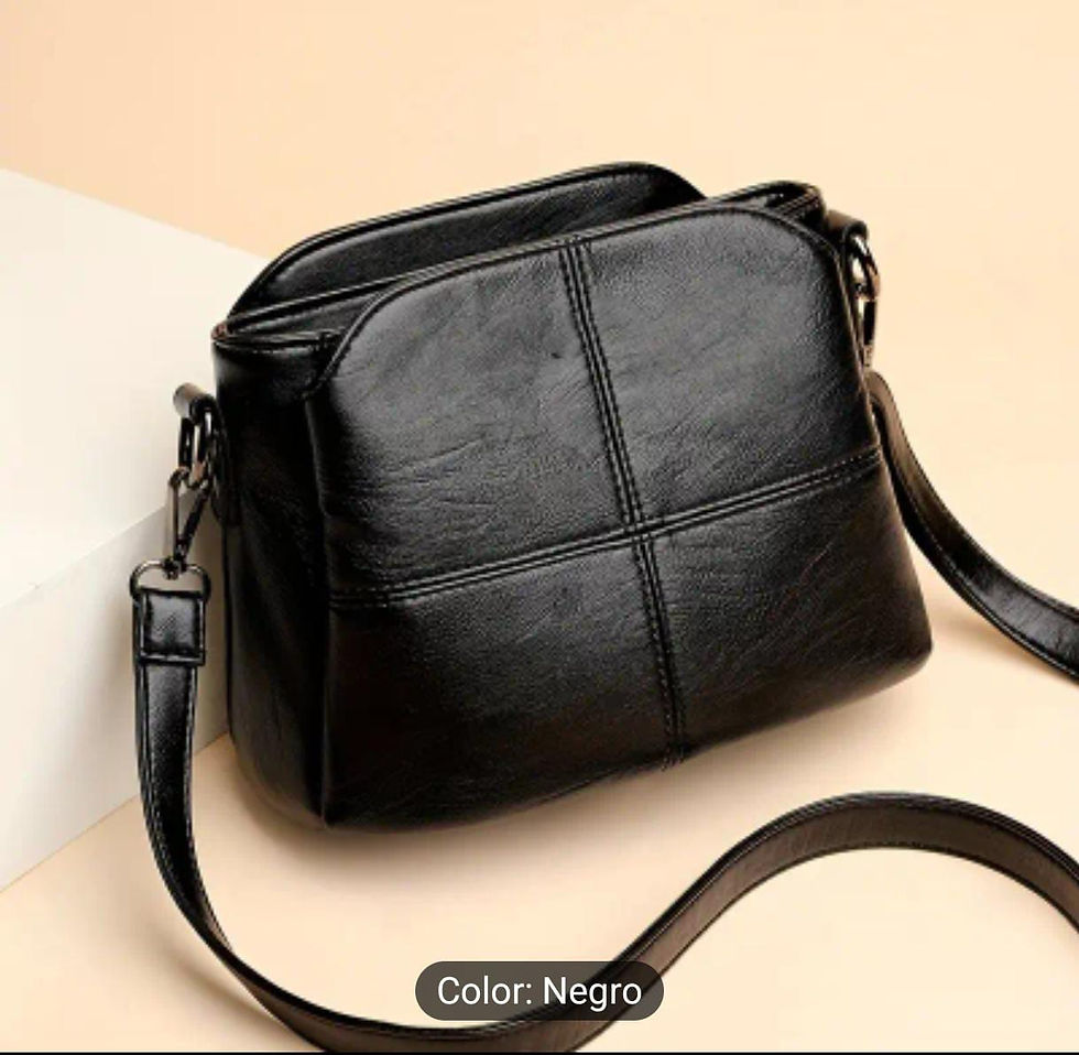 Miniatura: Cartera Loida