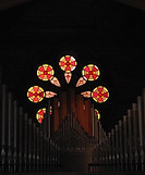organ5.jpg