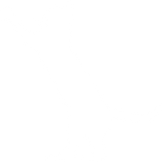 アセット 6.png