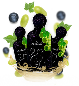 242BA5AC-2055-4D2C-B06B-EF158B1377F7.png