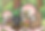 スクリーンショット 2025-09-02 17.28.17.png