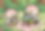 スクリーンショット 2025-09-02 17.28.17.png