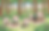 スクリーンショット 2025-09-02 17.28.17.png