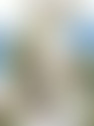 Vows at the Edge of the Sea and Sky: A Furry Creek Wedding to Remember