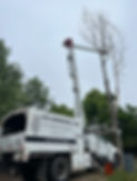 IMG_1679.jpeg
