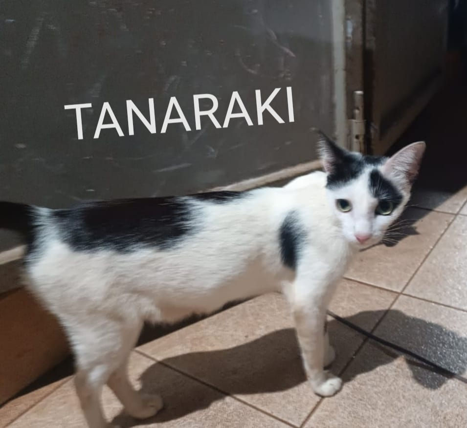 WhatsApp Image 2026-03-12 at 13.09.16