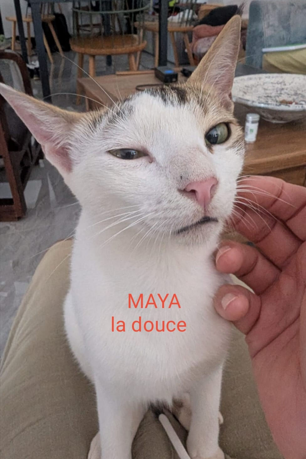 WhatsApp Image 2026-03-12 at 12.40.14 (1)