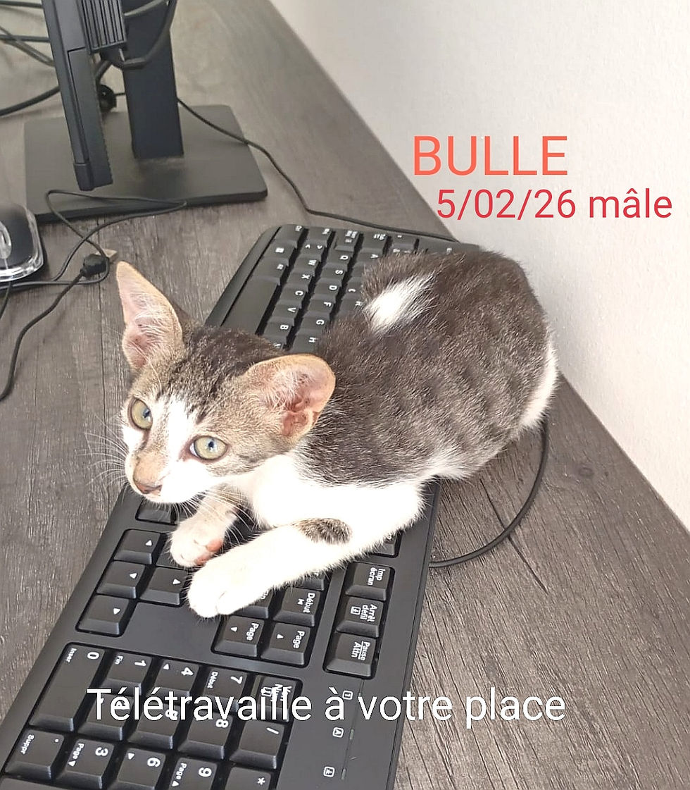 PHOTO-2026-05-16-00-44-08 2