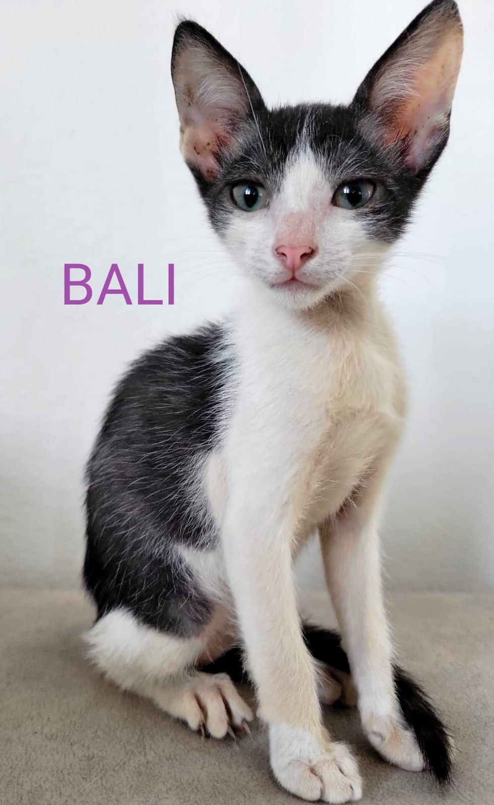 BALI