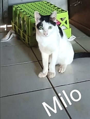 WhatsApp Image 2026-03-12 at 12.52.55