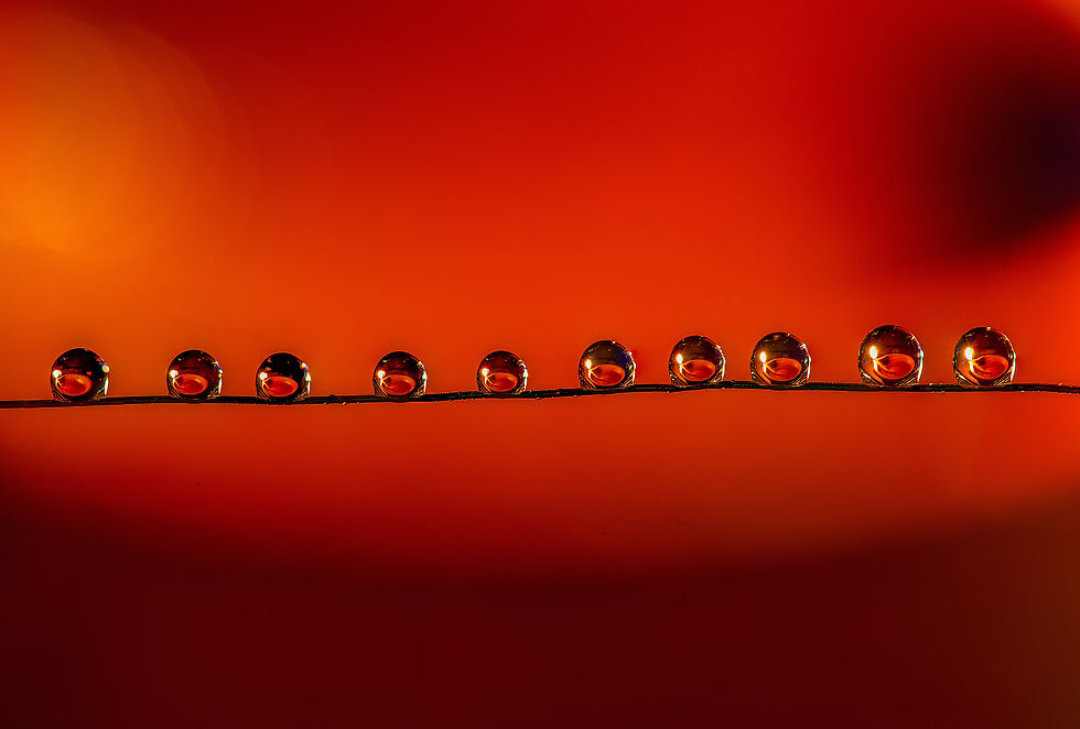Water Drop Refraction