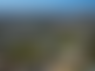 Camperdown removalists moving apartment furniture