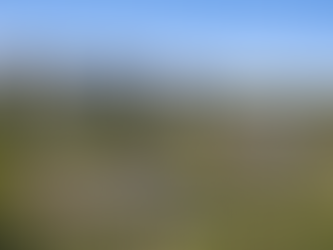 West Ryde residential street Sydney suburb