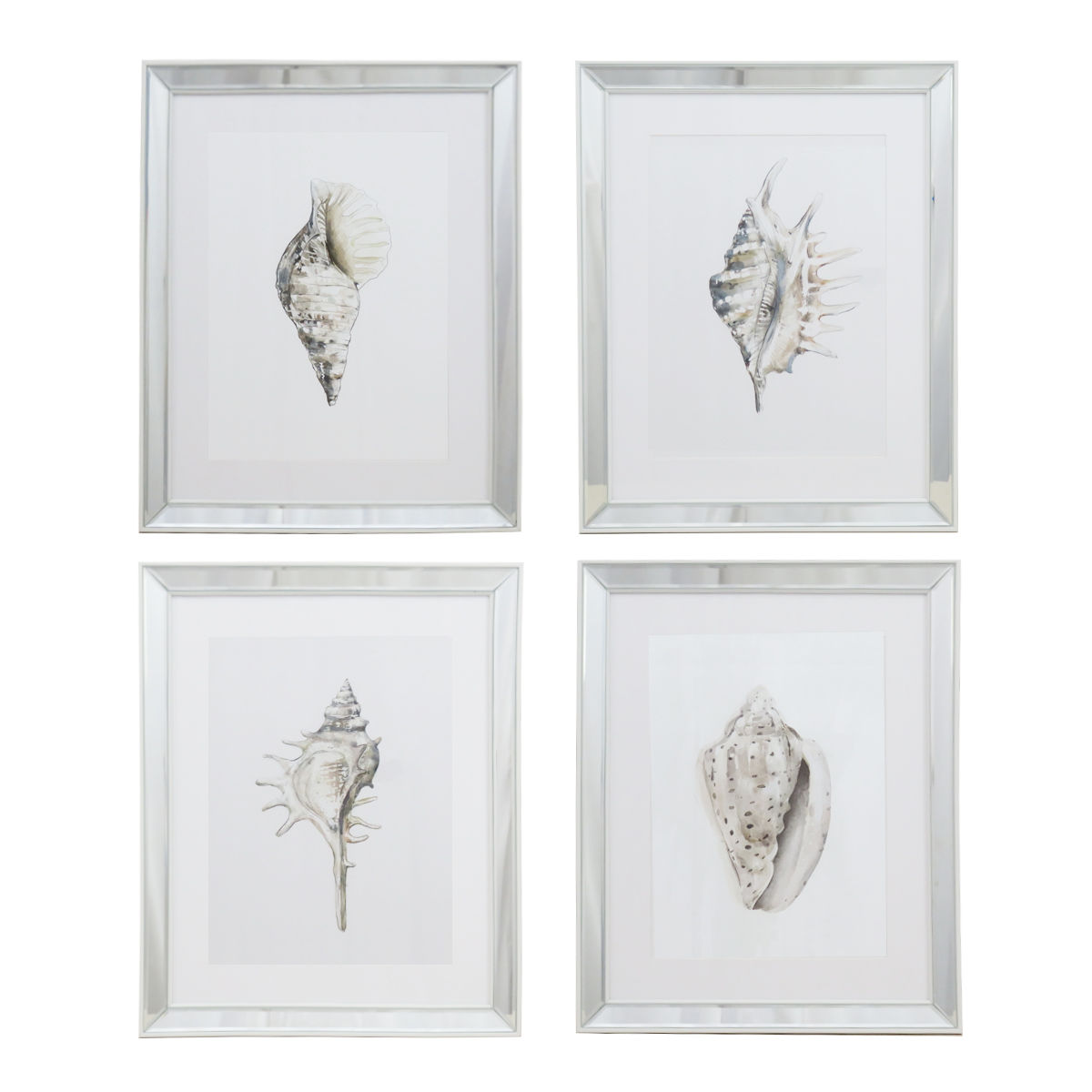 S/4 40x50CM WhiteMirrorShell