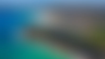 Moving in Sydney's Northern Beaches: The Local’s Guide to a Smooth Relocation