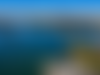 Premium movers Drummoyne Sydney professional team