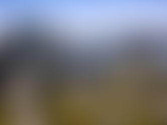 North Sydney Removalists | Office & Home Moving Guide (2026)