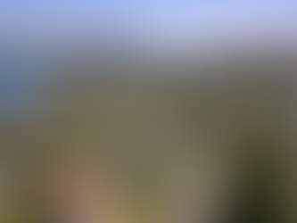 Neutral Bay harbour view housing NSW