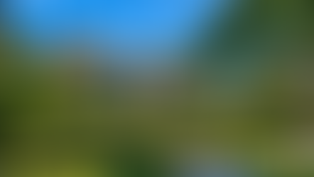 Pymble removalists moving luxury house furniture