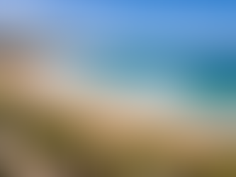 Freshwater beach and residential suburb Sydney