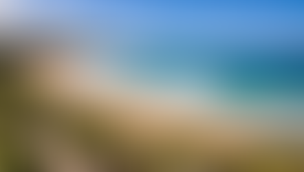 Freshwater beach and residential suburb Sydney