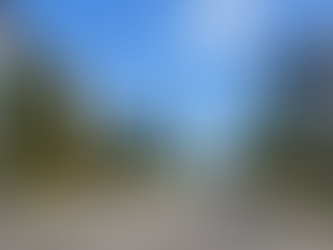 Mascot removalists moving apartment furniture