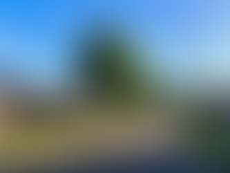 House movers Fairfield Sydney professional team