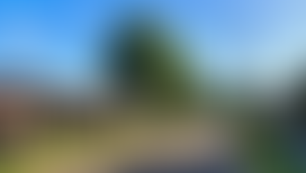 House movers Fairfield Sydney professional team