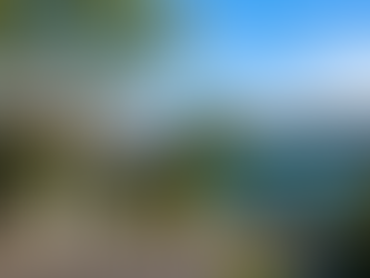 Moving truck in Birchgrove narrow residential street