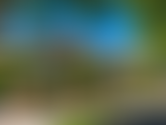 Haberfield removalists moving house furniture